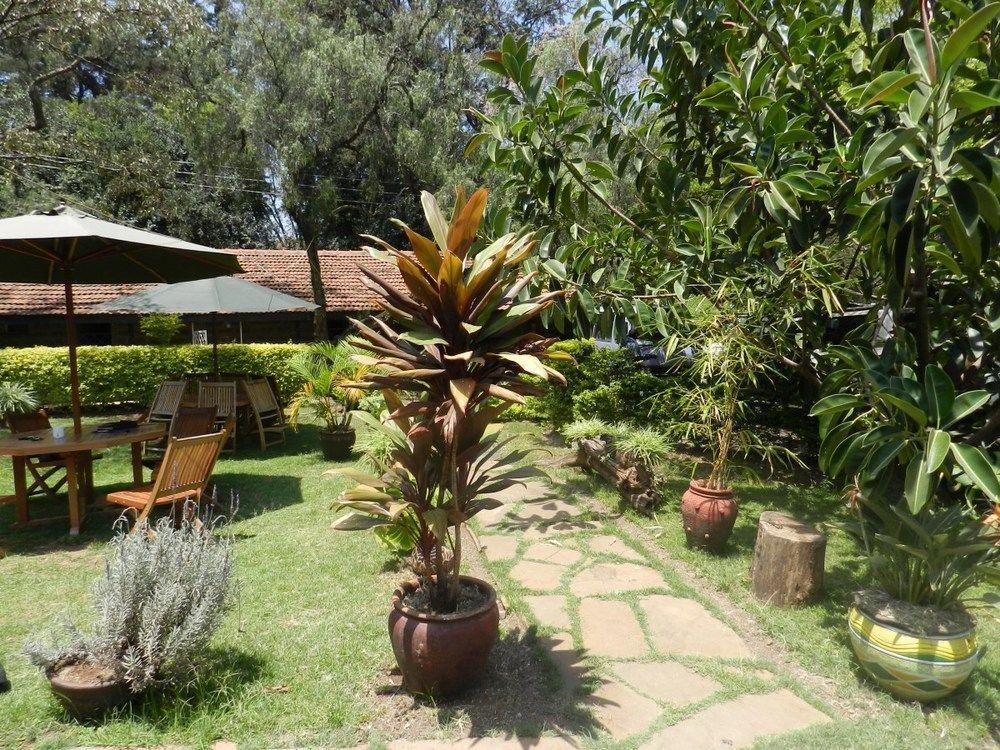 Hibiscus Guest House Nairobi Zewnętrze zdjęcie